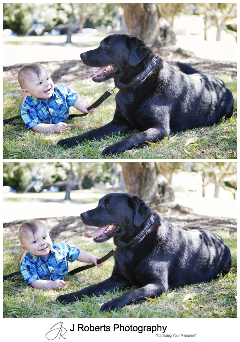 Little boy with his dog - sydney family portrait photographer